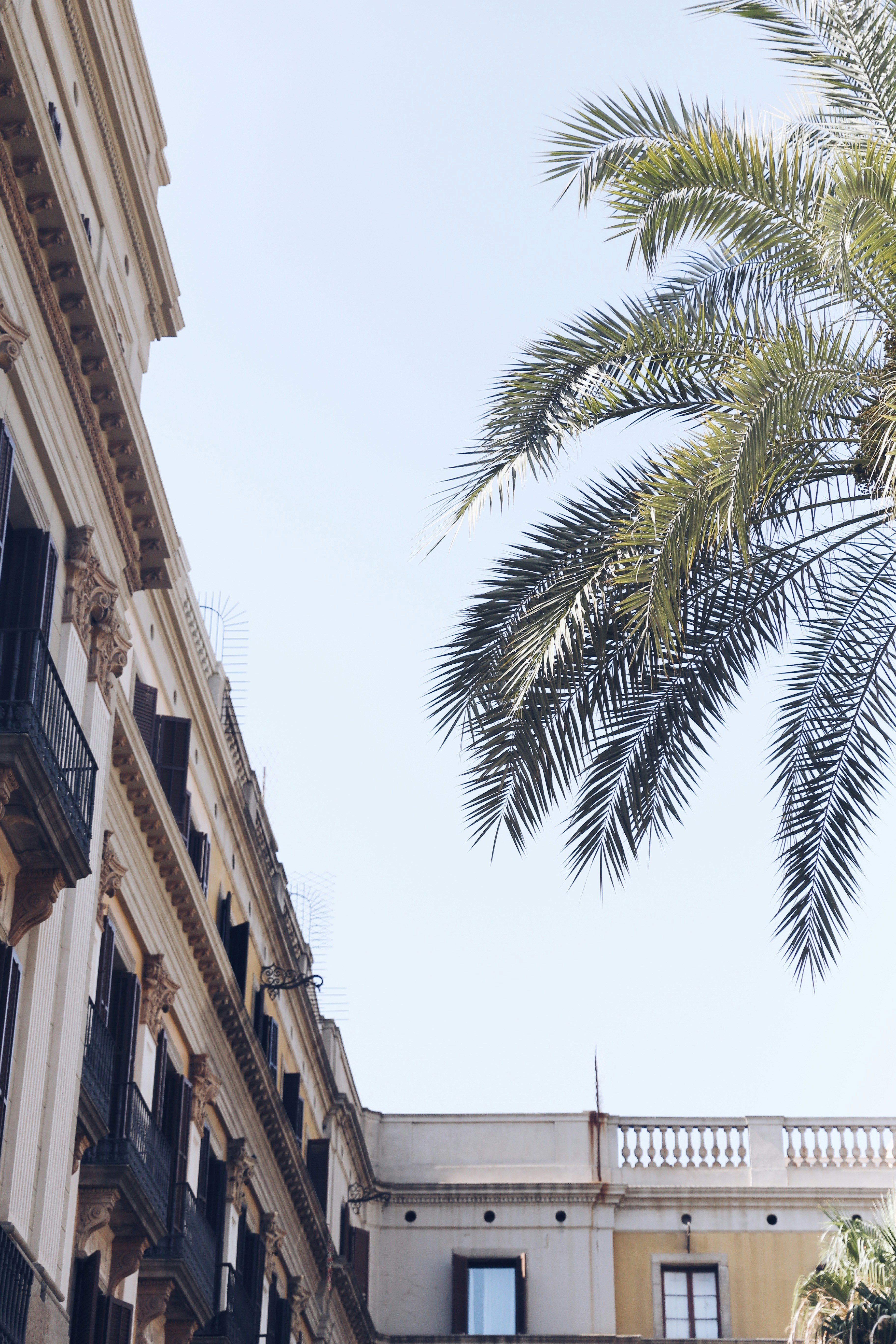 Photo by matthiasmeierkoch