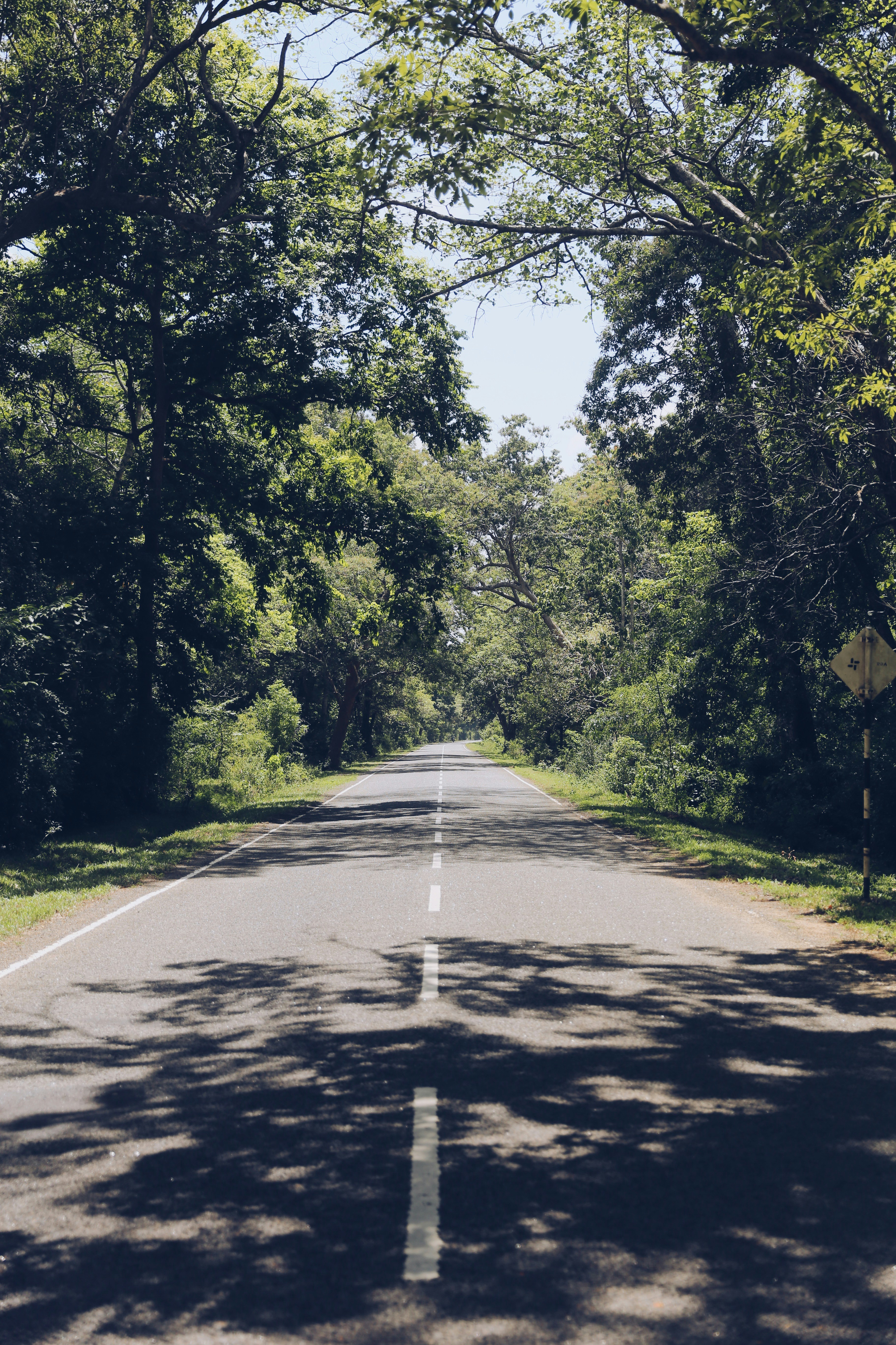 Photo by matthiasmeierkoch