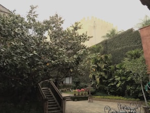 Hidden garden courtyard with lush greenery and subtle muted gold accents in the decor, inviting peaceful exploration