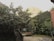 A beautifully landscaped courtyard with seating areas and greenery.