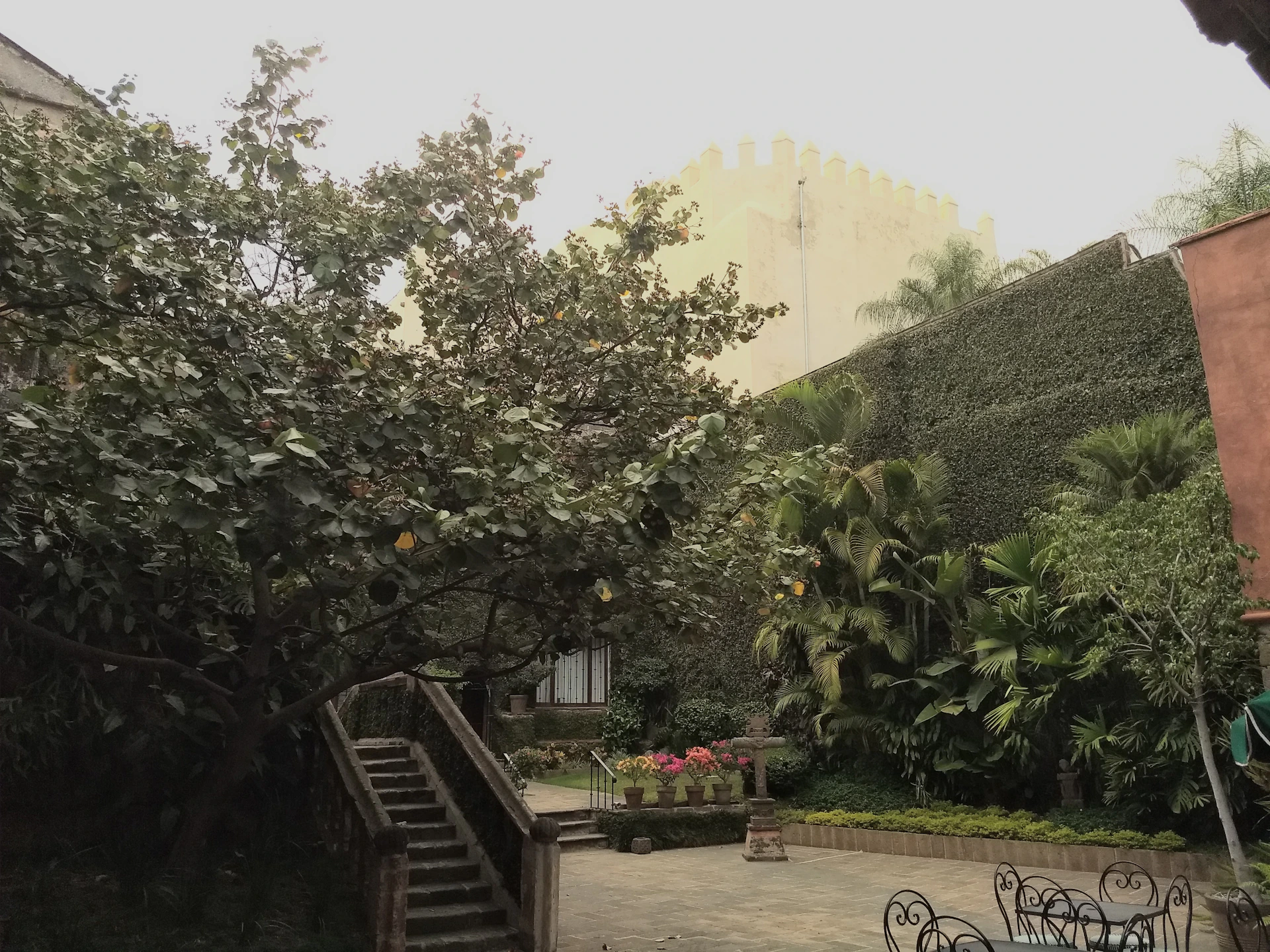 woman wearing yellow long-sleeved dress under white clouds and blue sky during daytime