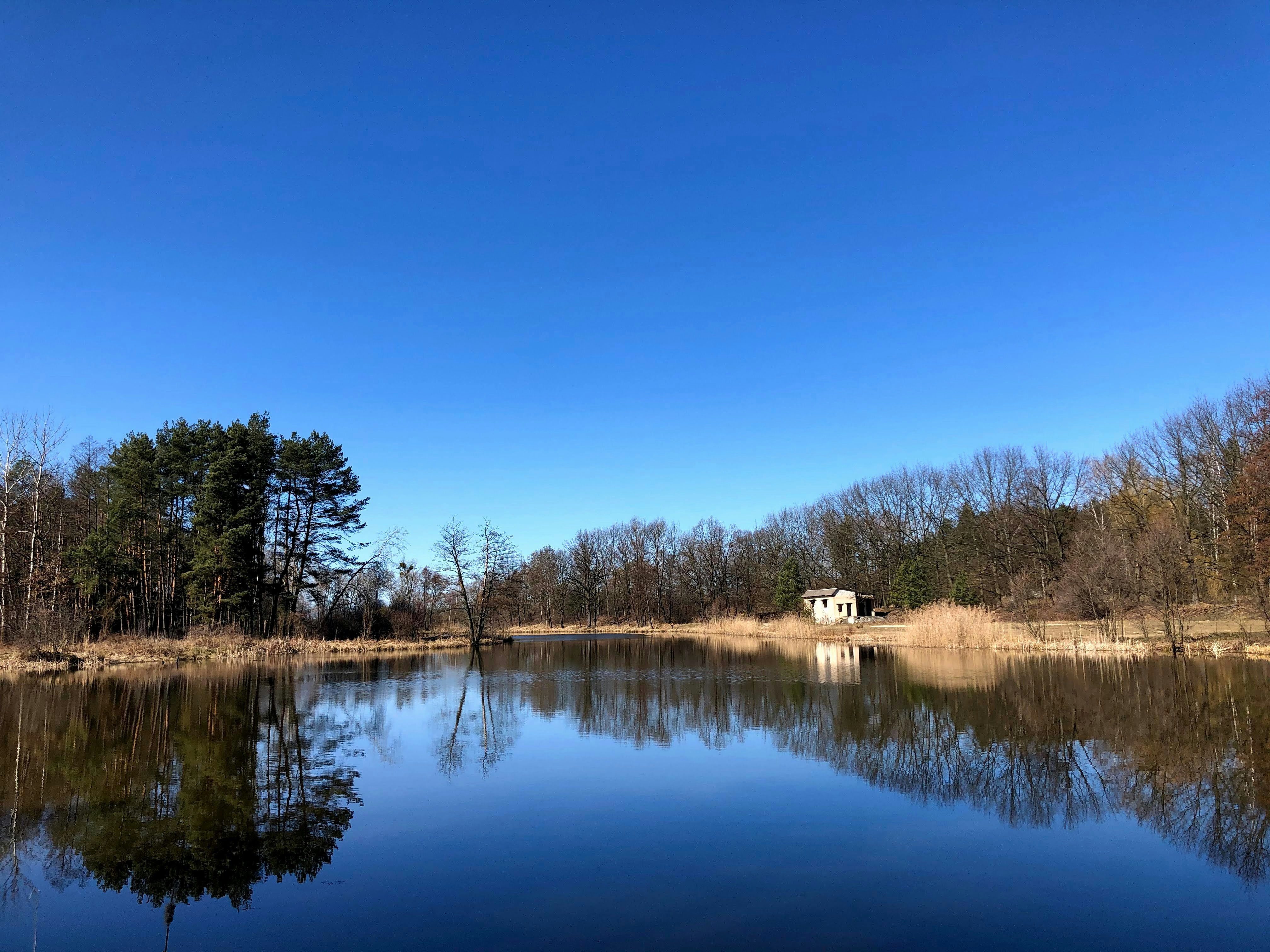 Photo by rvasilovski