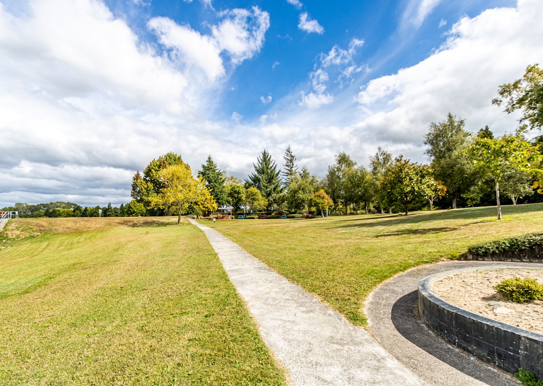 green grass field with trees under blue sky and white clouds during daytime