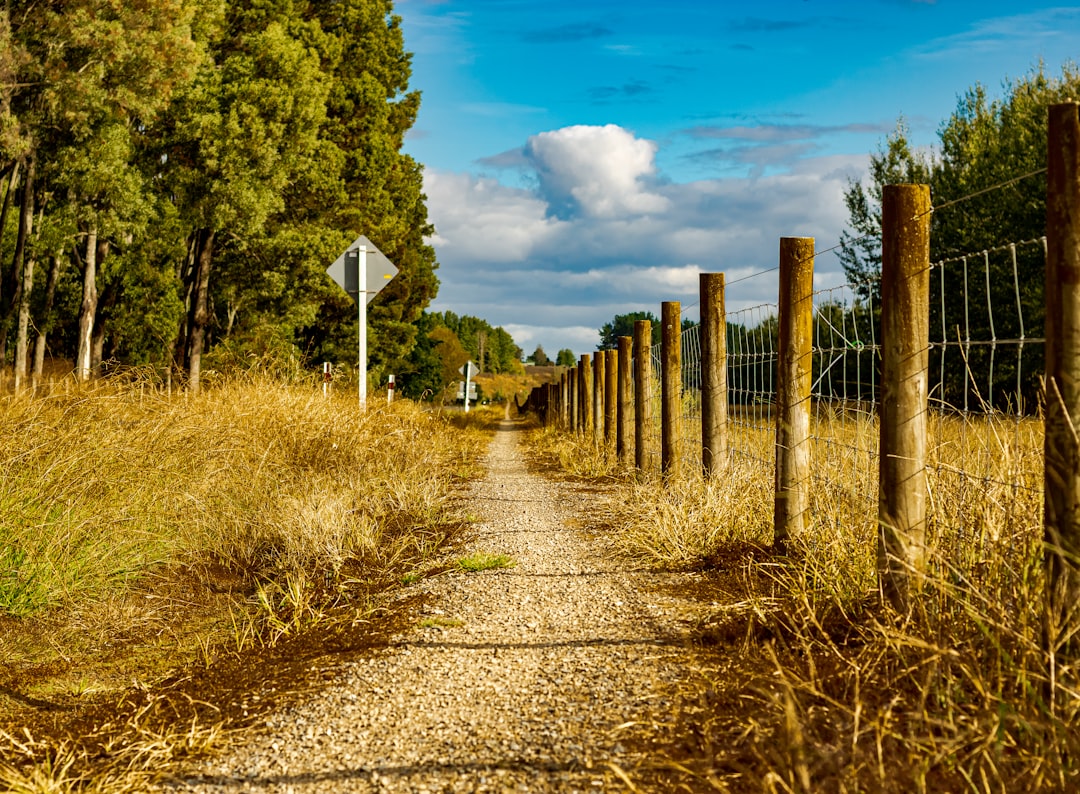 Nature reserve photo spot Arapuni Taupo