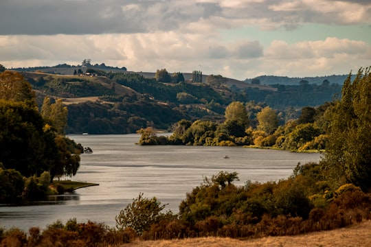 green trees near body of water during daytime in Arapuni New Zealand