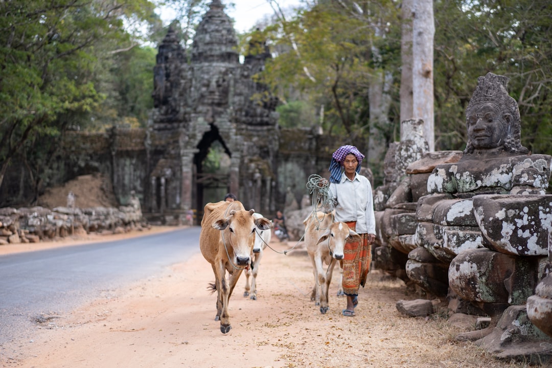 Temples, Terraces & Tuk-Tuks: The Best Hotels in Siem Reap for Expl… — Temples, Terraces & Tuk-Tuks