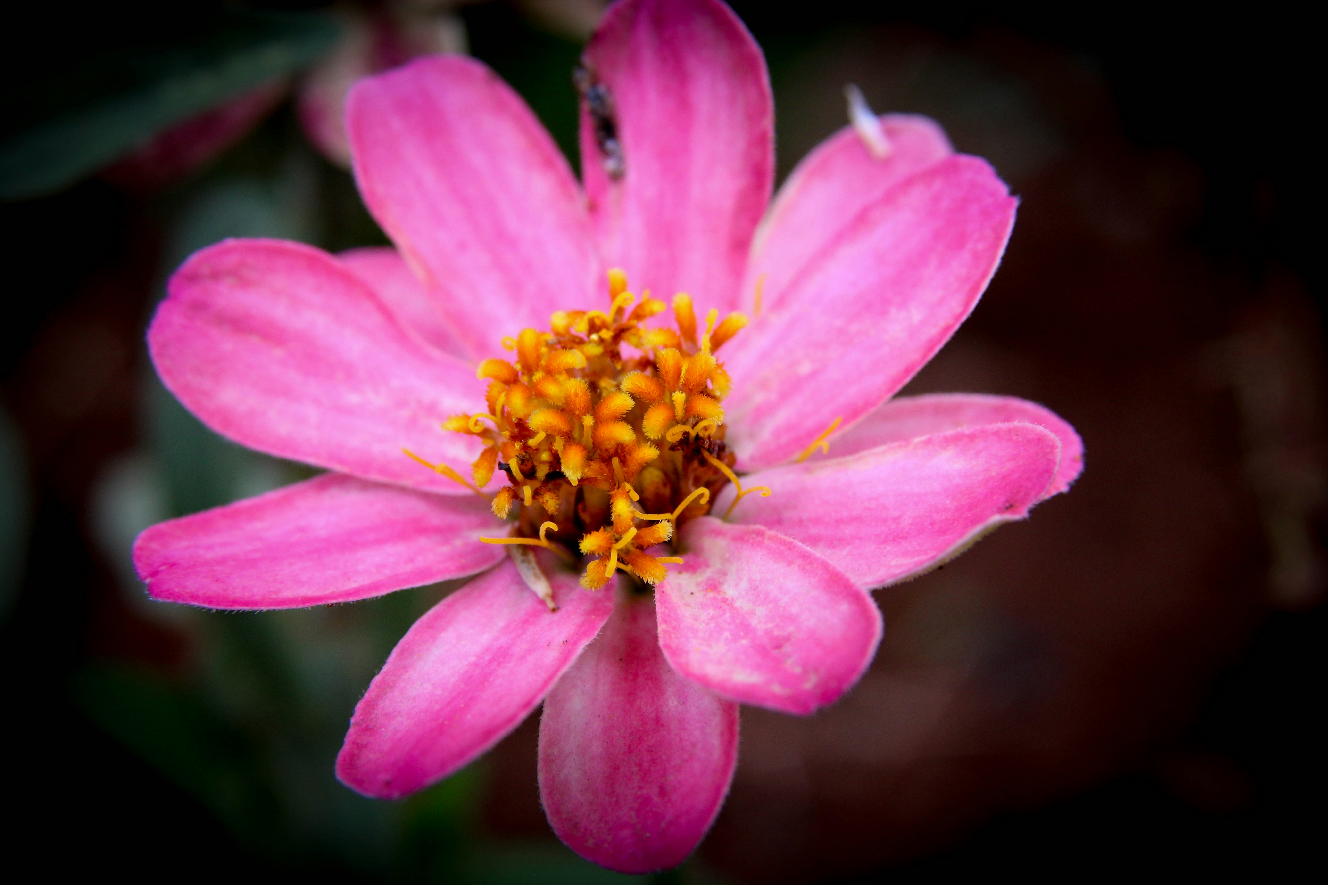 Photo by glencarrie