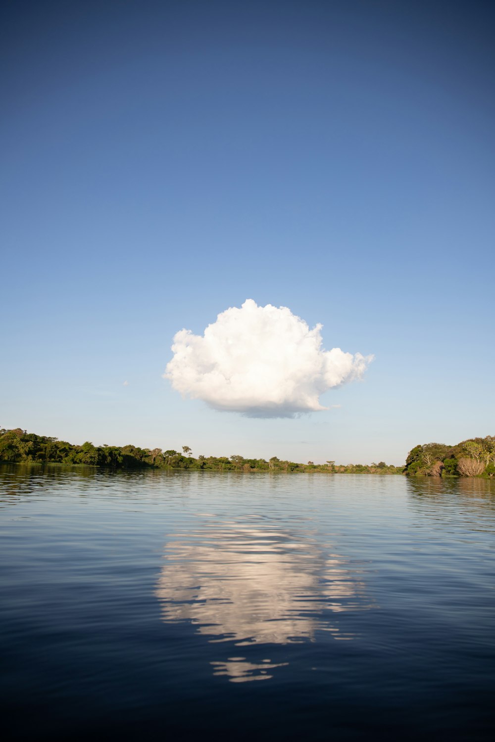 Best 100 Cloud Pictures Hq Download Free Images On Unsplash