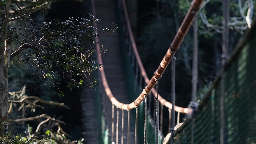 brown wooden hanging bridge in forest during daytime