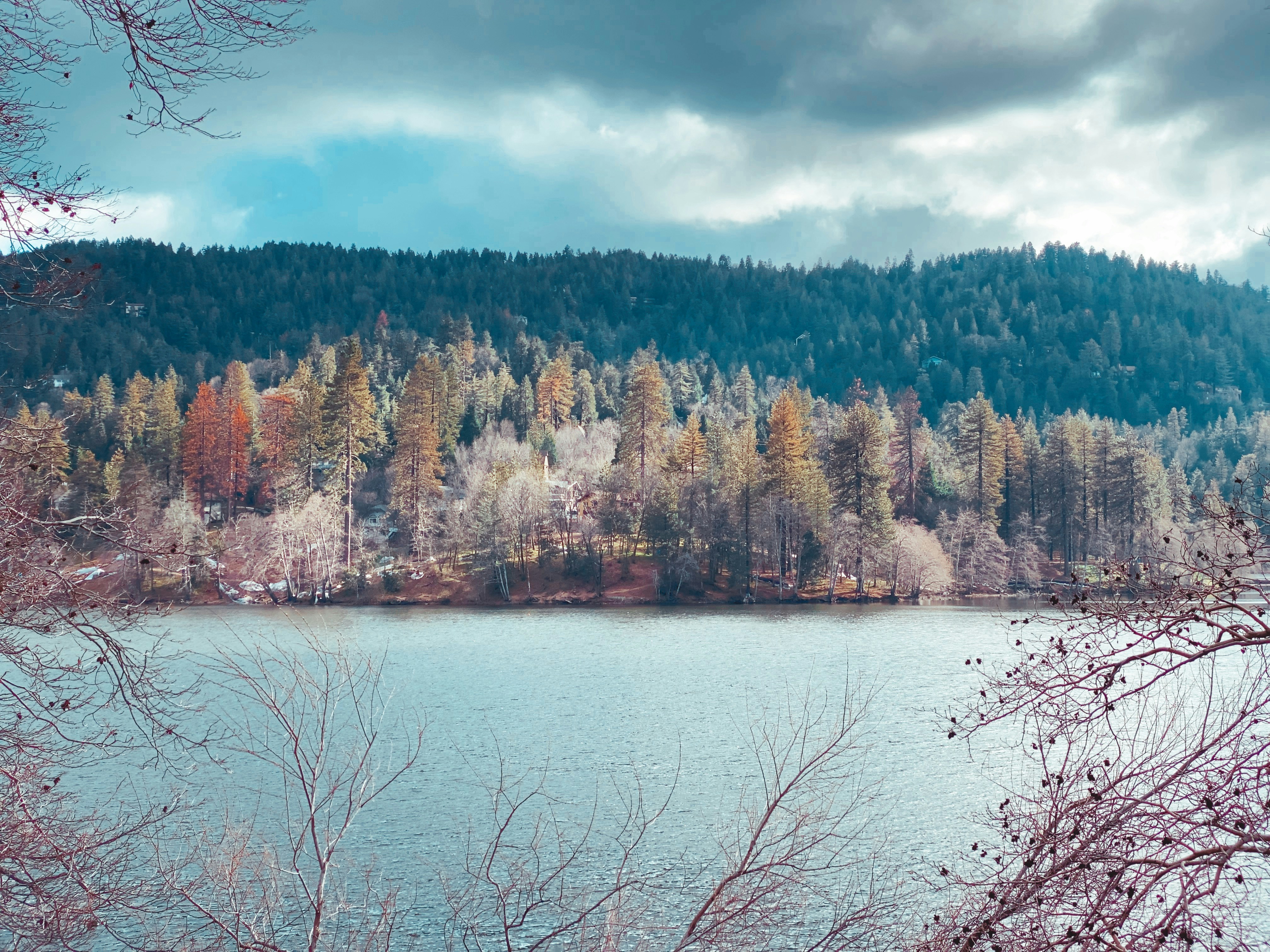 Photo by kevin_bravo