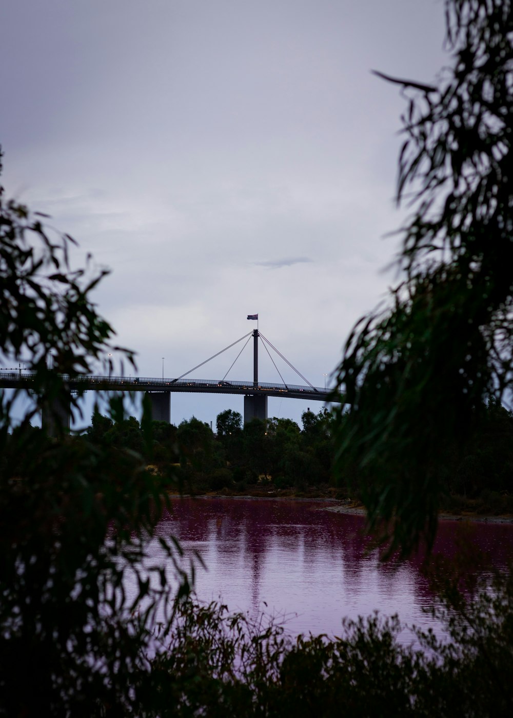 green trees near bridge under cloudy sky during daytime