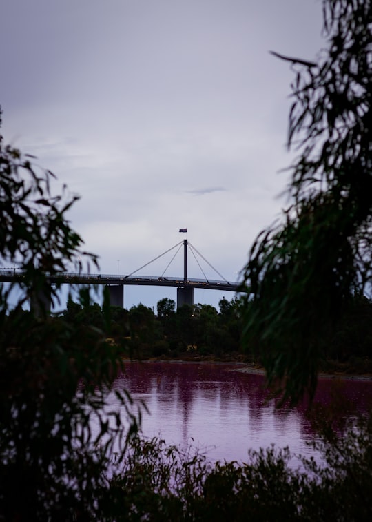 green trees near bridge under cloudy sky during daytime in Port Melbourne VIC Australia