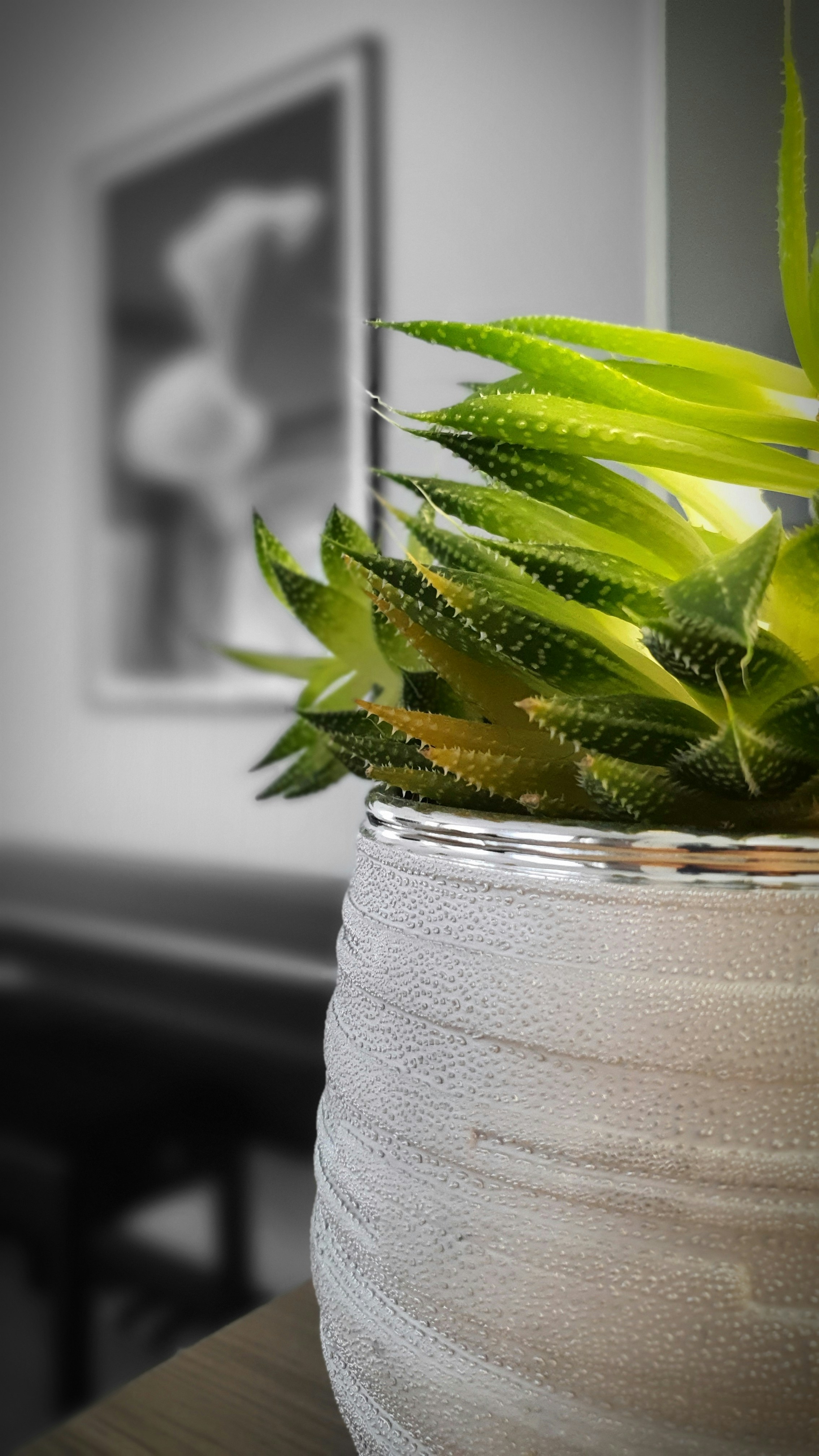 green plant in clear glass jar