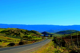 A scenic view of a winding road through lush green hills in Northeast India.