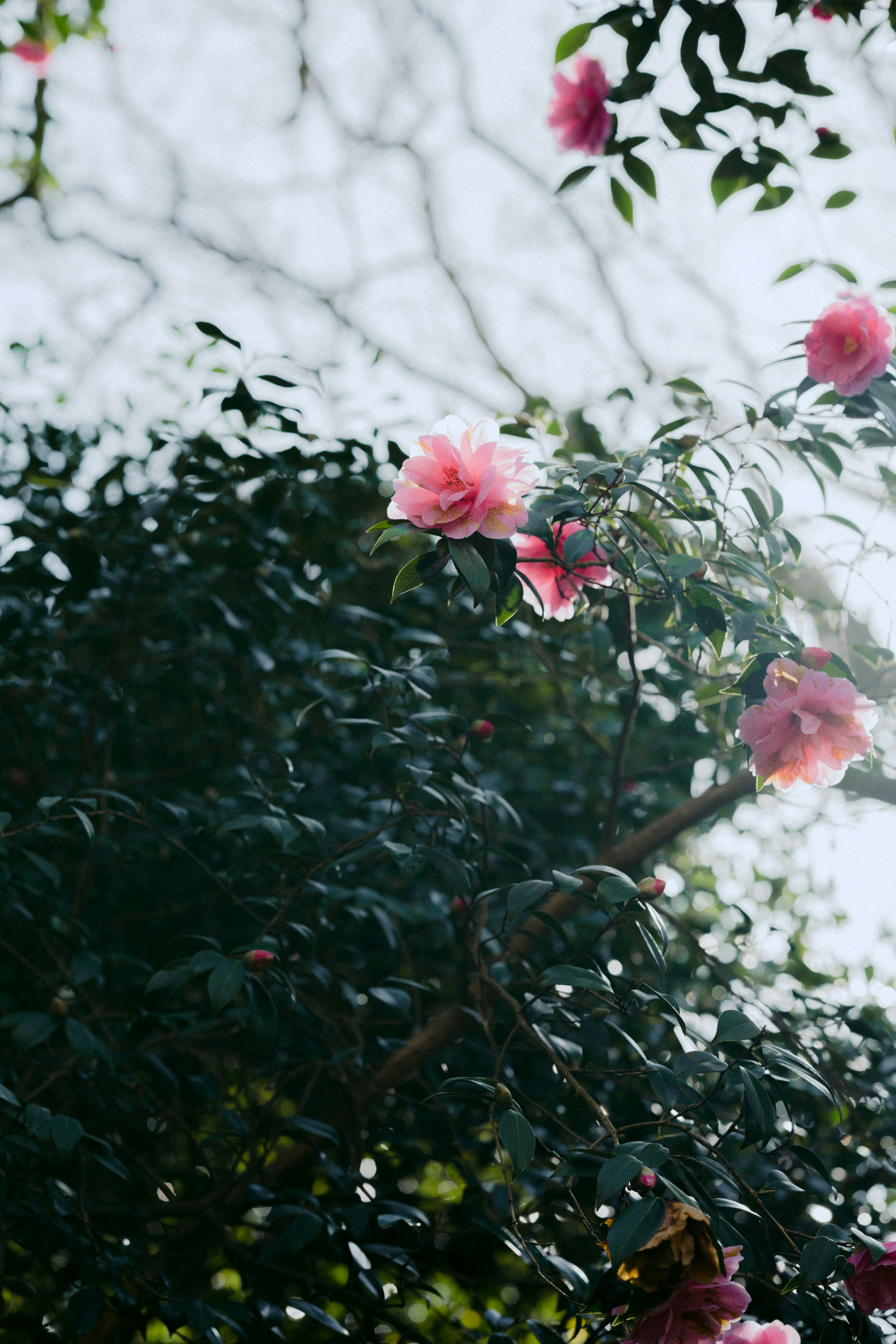 Photo by anniespratt