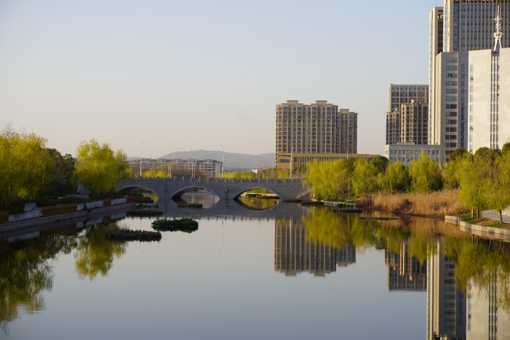body of water near green trees and high rise buildings during daytime
