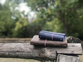 Two leather-bound notebooks rest on a rustic wooden beam, with a serene natural background of blurred trees and greenery.