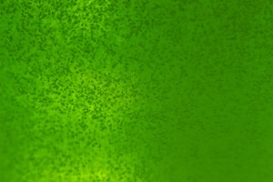 Engineered Bubble Bag