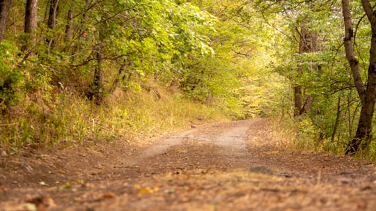 photo of Aghveran Natural landscape near Stepanavan Dendropark