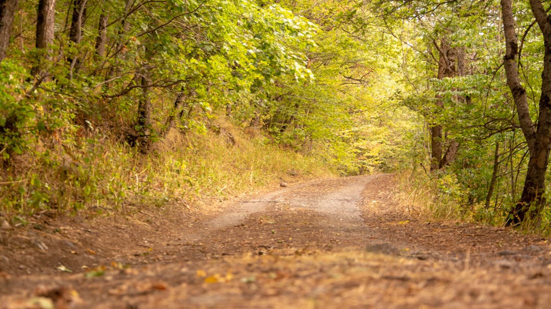 Natural landscape photo spot Aghveran Chkalovka