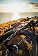black bicycle on brown grass near body of water during daytime