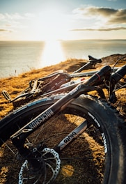 black bicycle on brown grass near body of water during daytime
