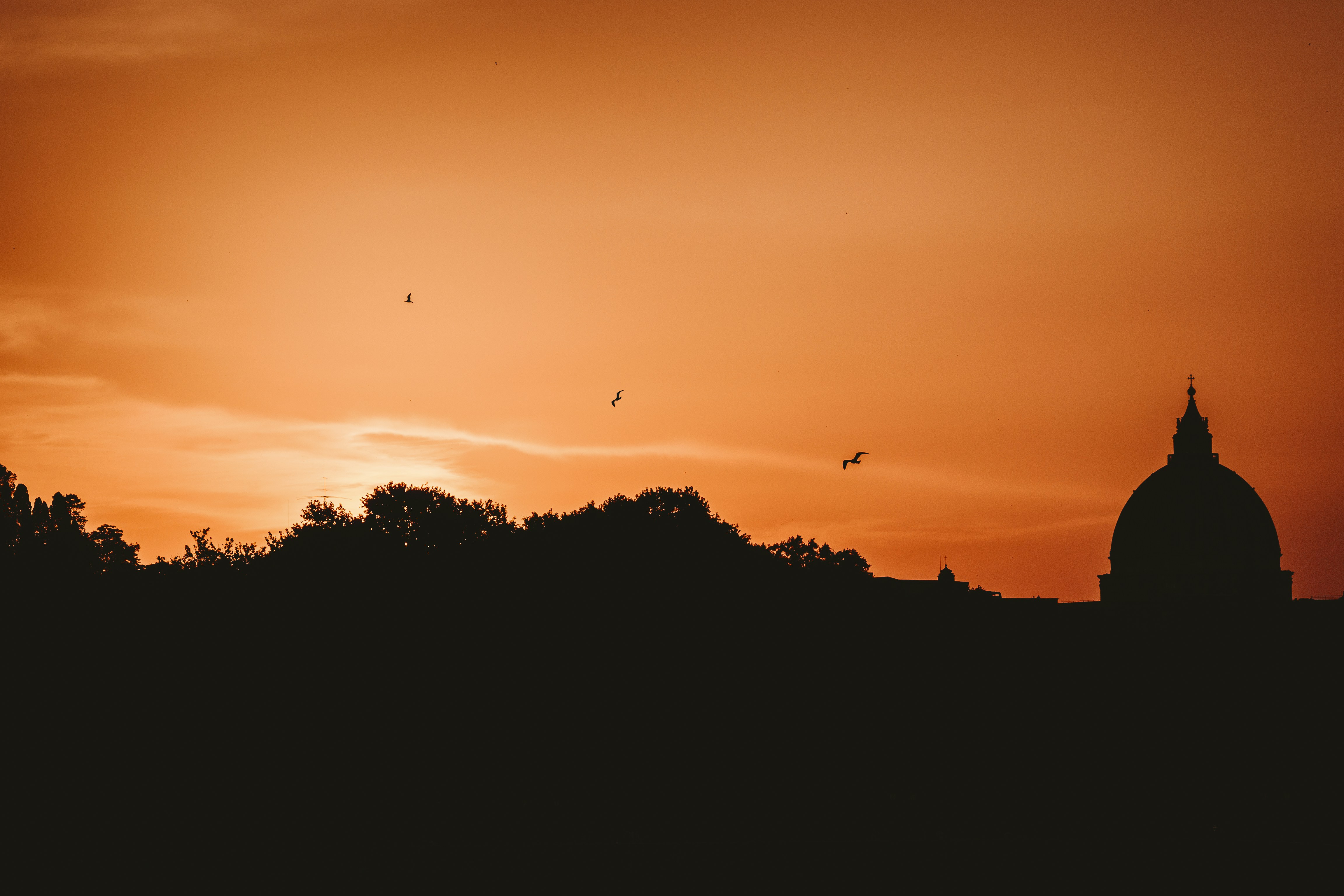 Photo by markus_lederer