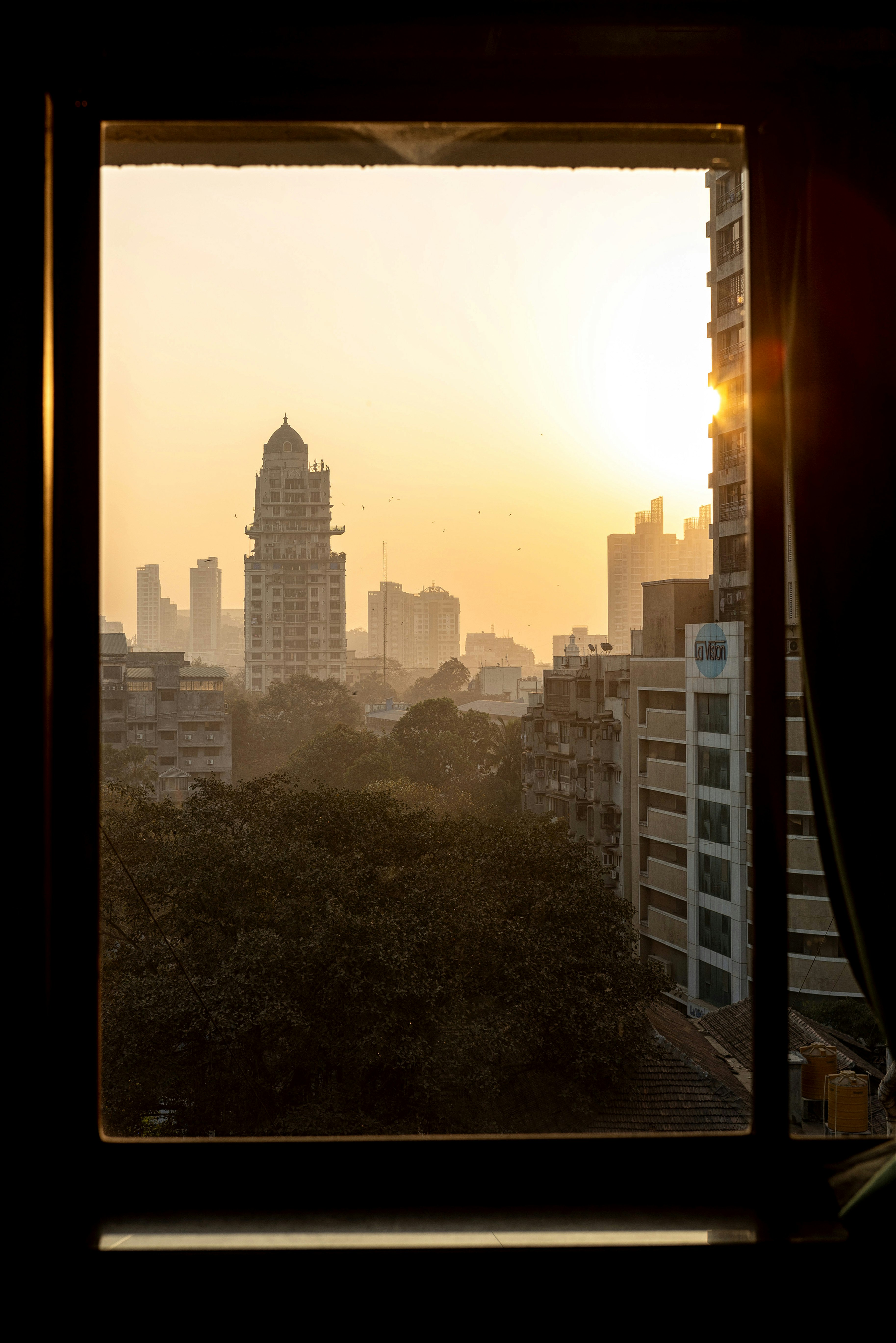 green trees near high rise buildings during daytime