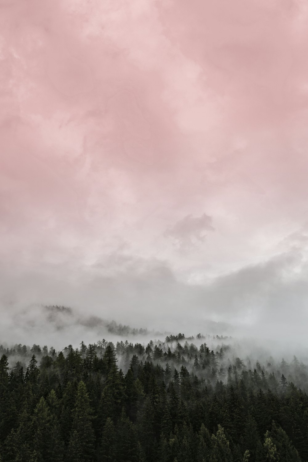 昼間の白い雲の下の緑の木々