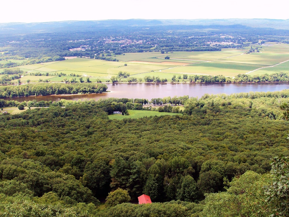 Vue aérienne des arbres verts et du lac pendant la journée