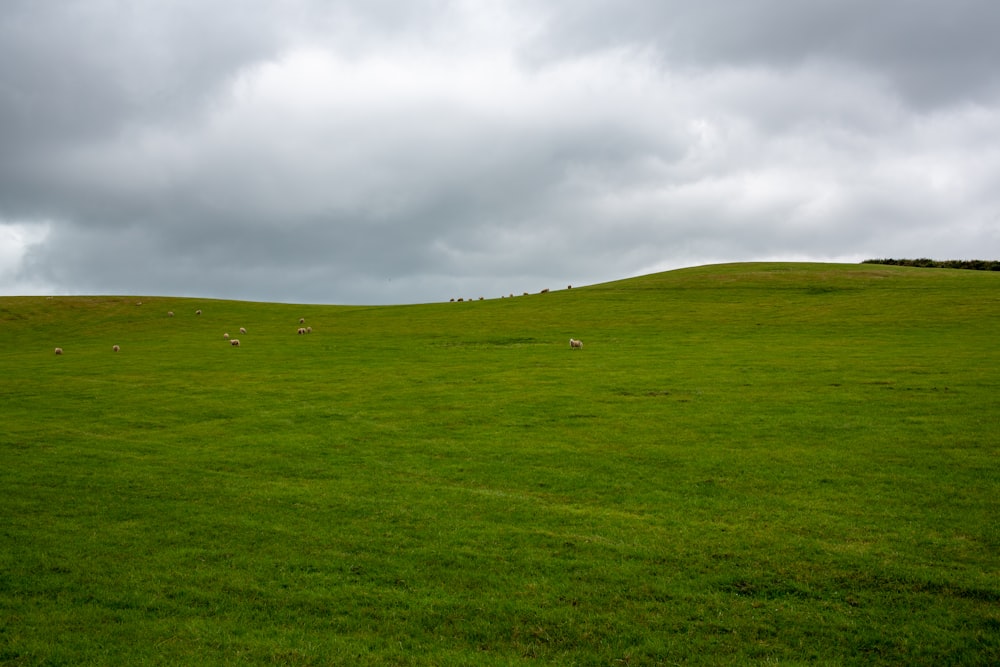 green grass field under cloudy sky during daytime