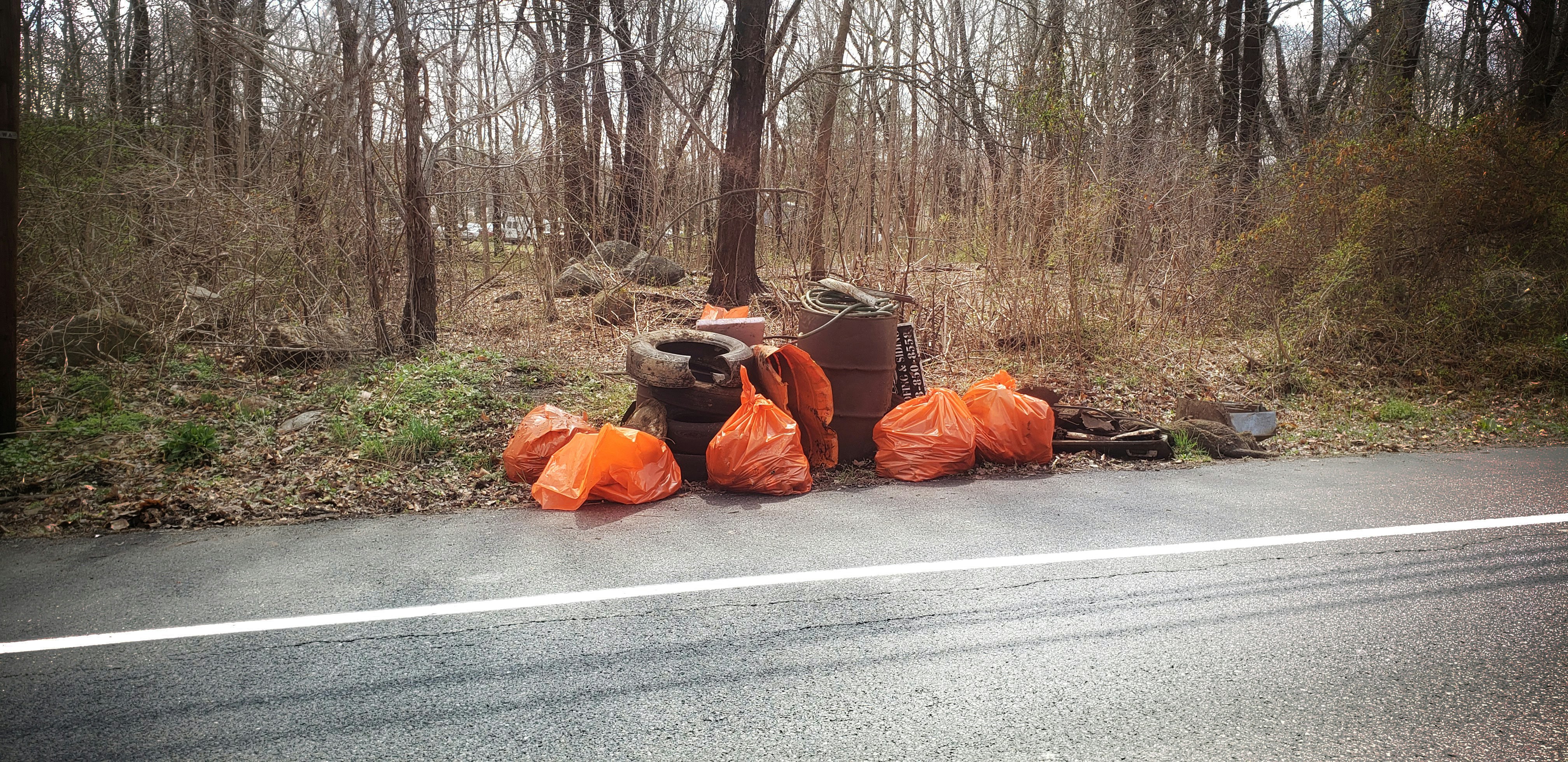 Spring Cleaning Junk Removal in Houston, TX: Your Ultimate Guide to a Painless Initiative