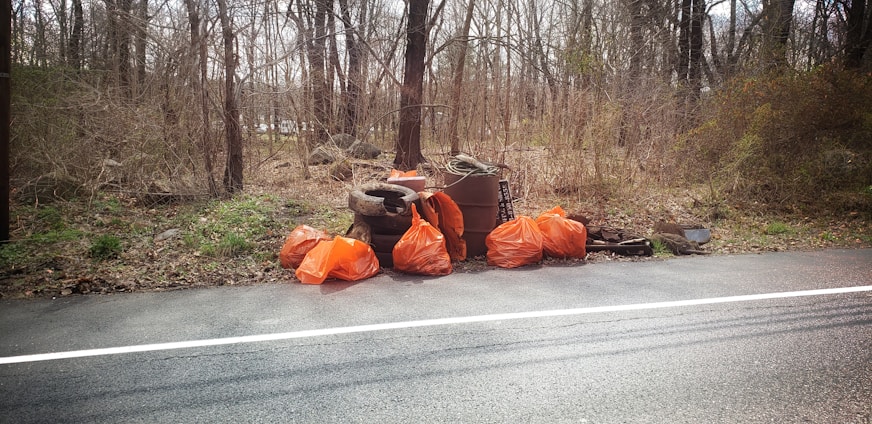 Several orange garbage bags are lined up along a roadside, accompanied by various discarded items such as tires and metal parts. The backdrop is a wooded area with bare trees, suggesting a cleanup effort has taken place.