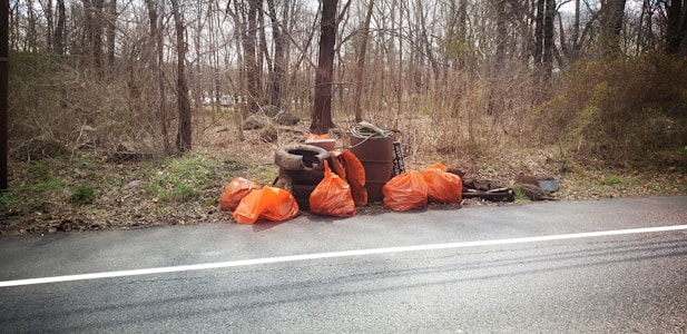 Several orange garbage bags are lined up along a roadside, accompanied by various discarded items such as tires and metal parts. The backdrop is a wooded area with bare trees, suggesting a cleanup effort has taken place.