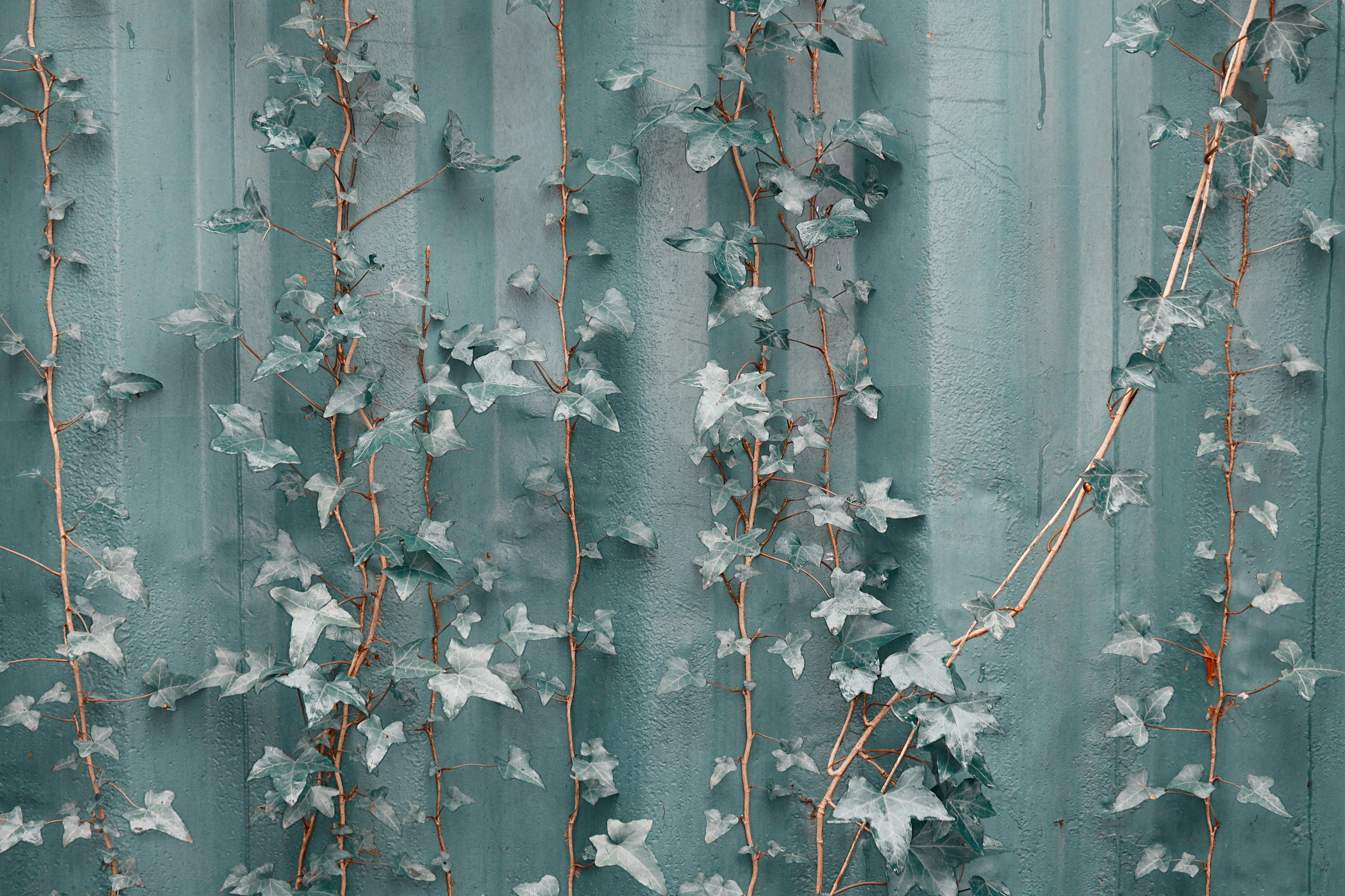 Photo by grievek1610begur