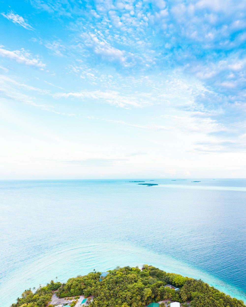 Grüne Bäume auf der Insel, tagsüber von Meerwasser unter blauem Himmel umgeben