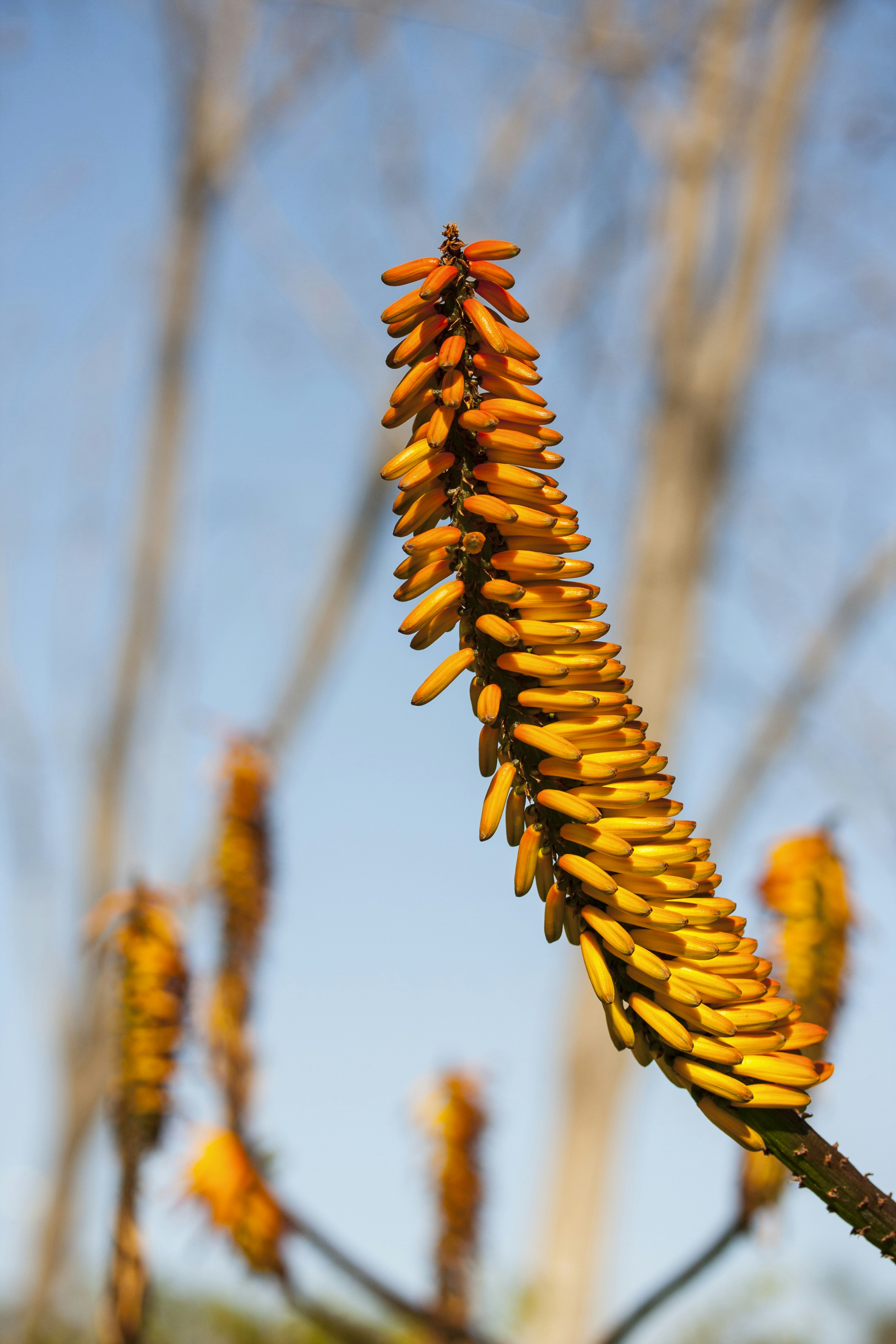 Photo by enginakyurt