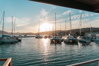 white and blue boat on dock during daytime
