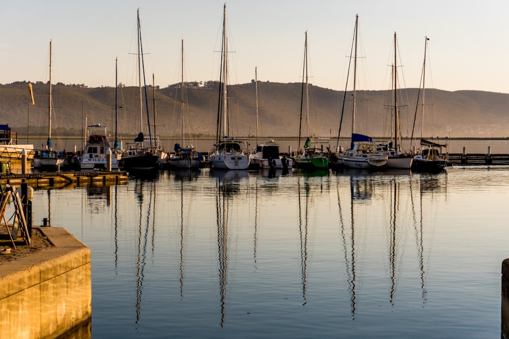 white and blue boat on body of water during daytime