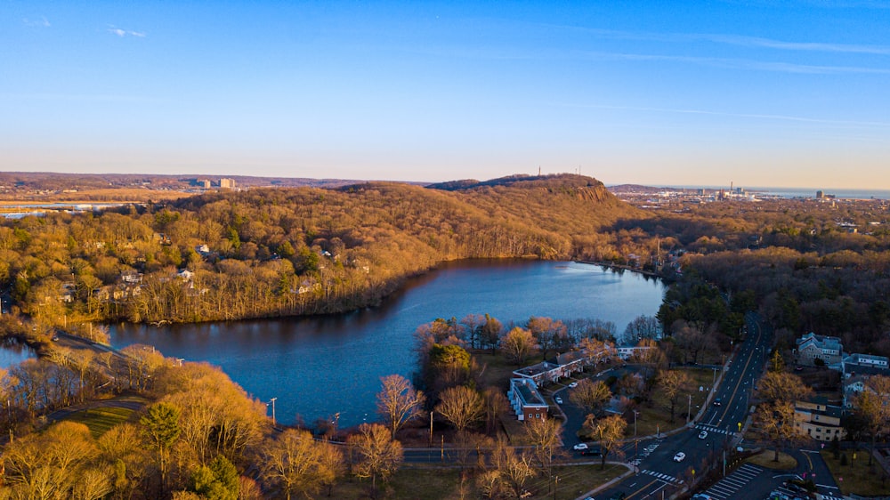 aerial view of green trees and lake during daytime