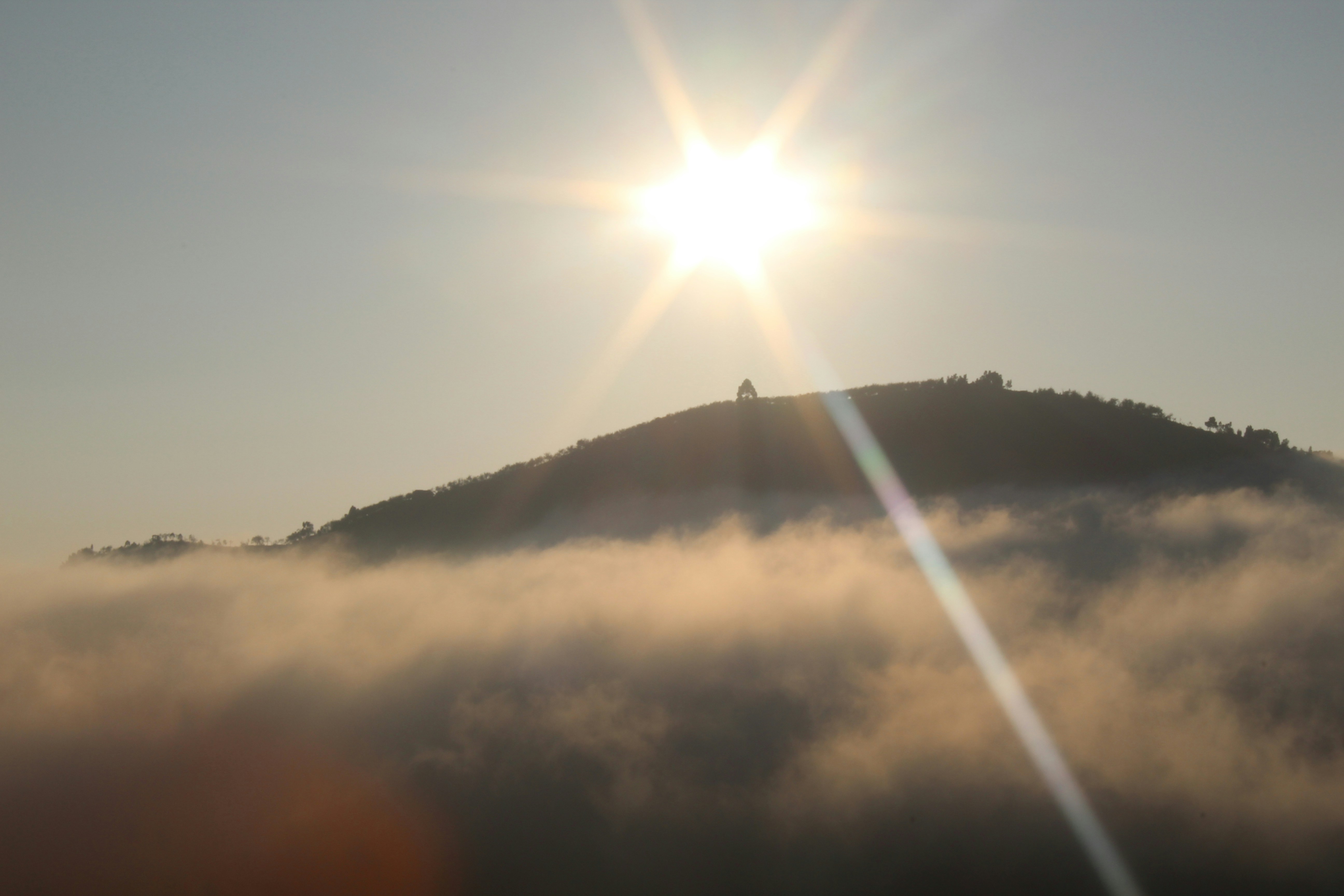 Photo by pradeepguts