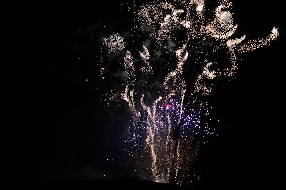 white and purple fireworks display