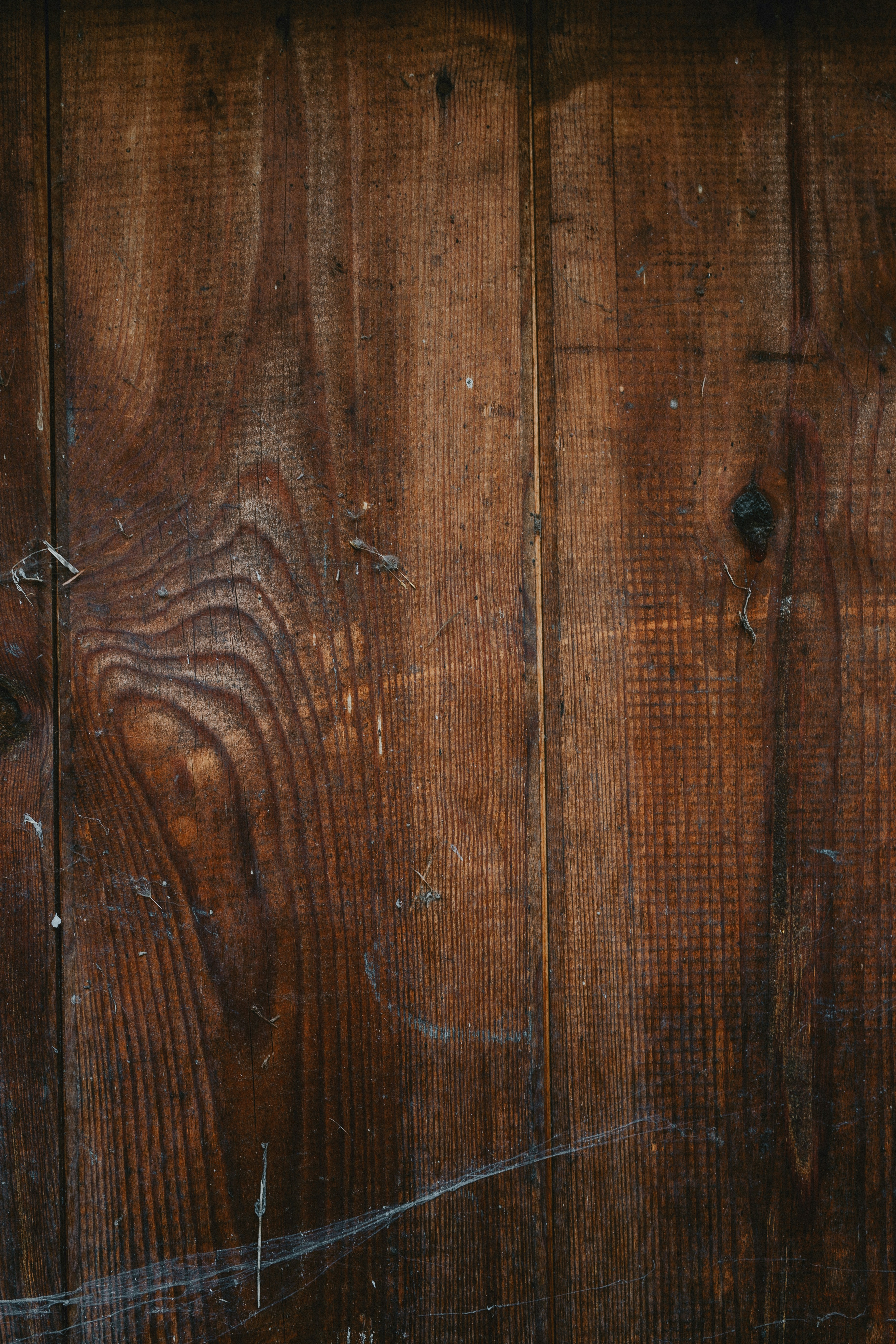 Photo by annabellalifestyle