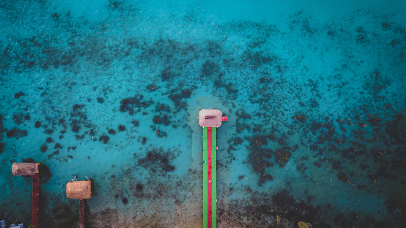 Hidden Attractions in Bacalar That Most Tourists Walk Right Past