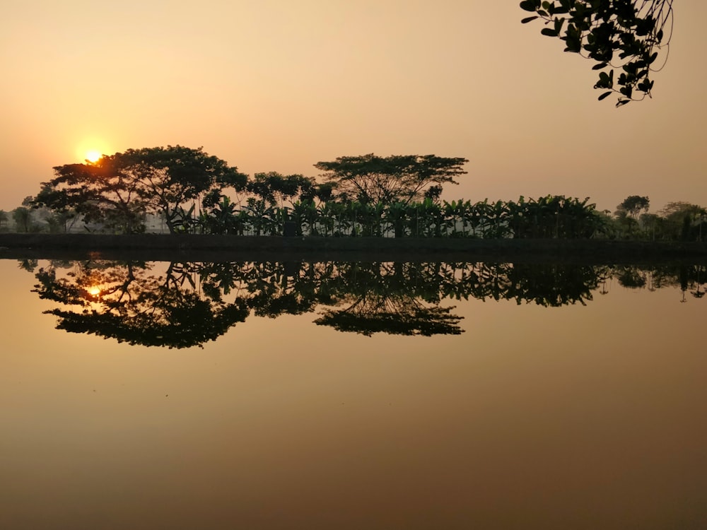 body of water near trees during sunset
