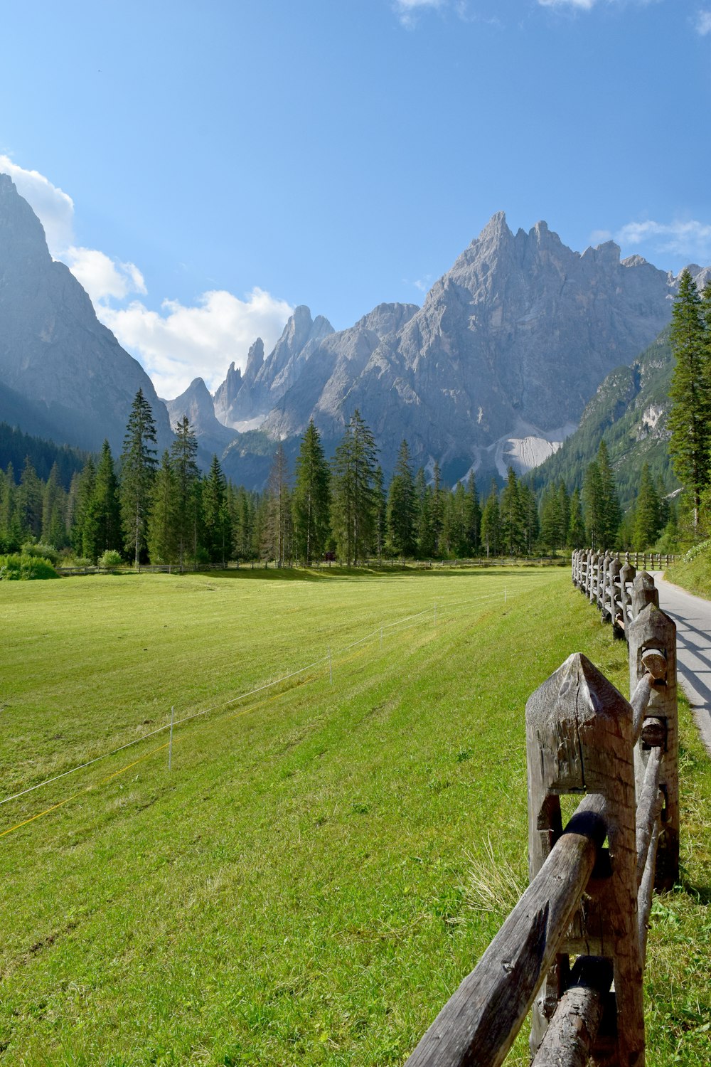 green grass field near green trees and mountains during daytime