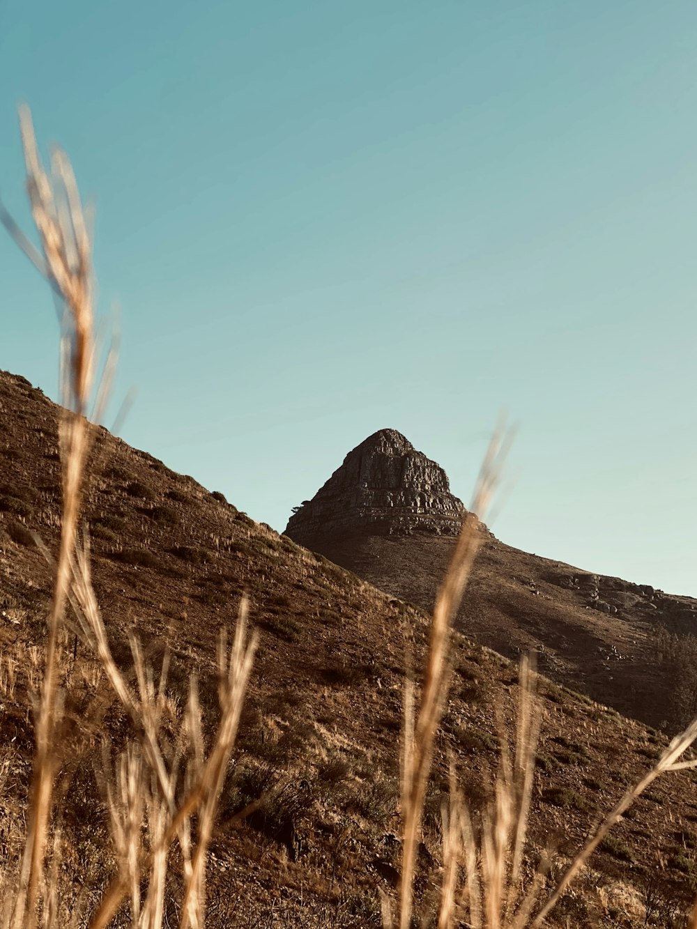 brown grass field near brown mountain under blue sky during daytime