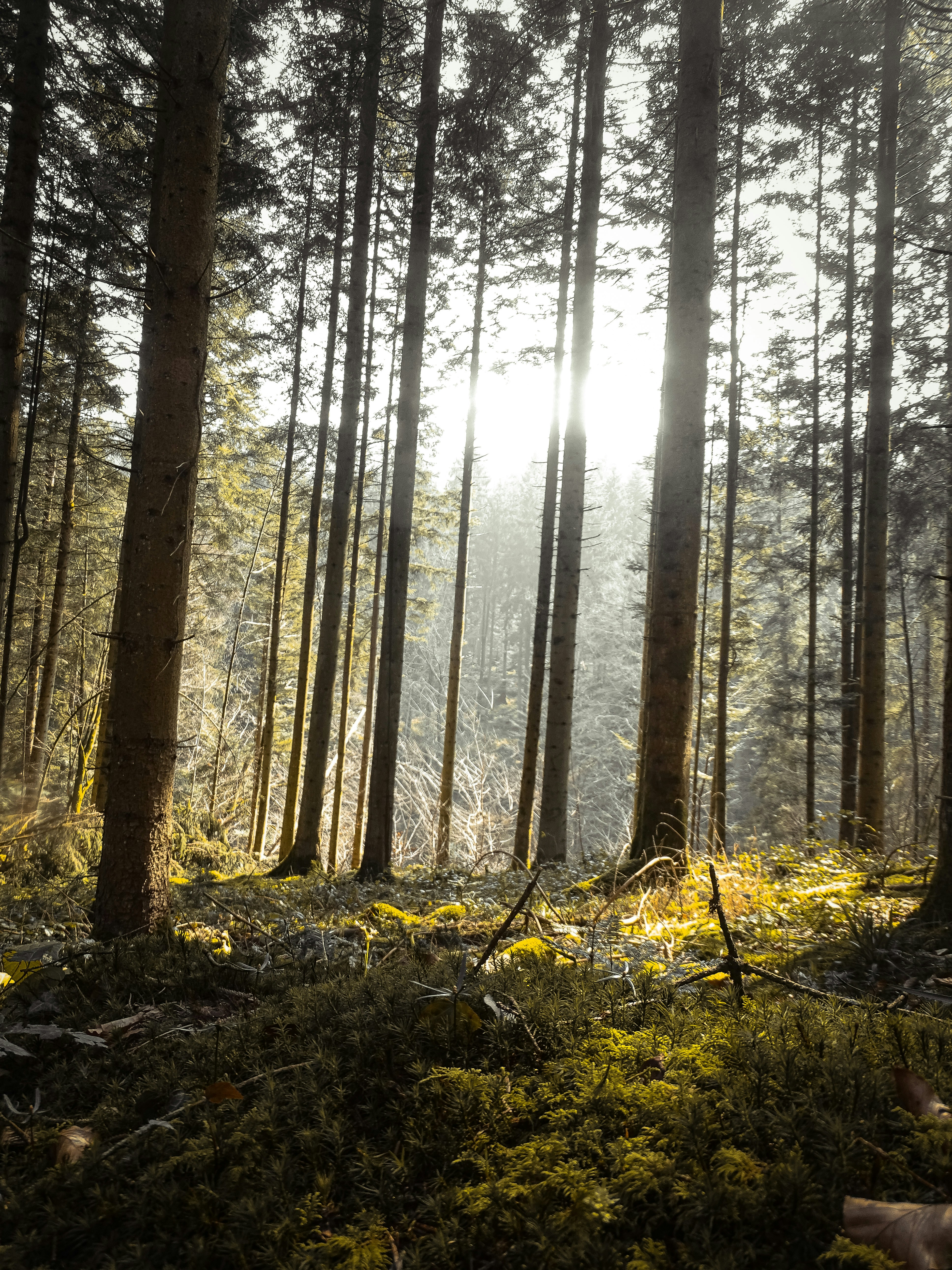 Photo by benjaminmerkle