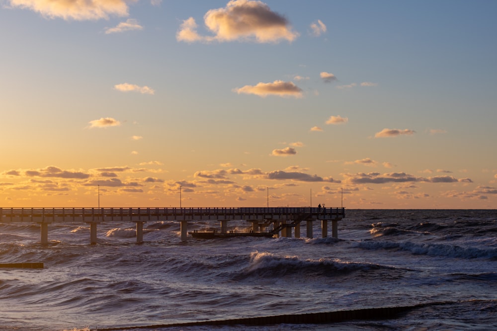 silhouette of people on sea dock during sunset