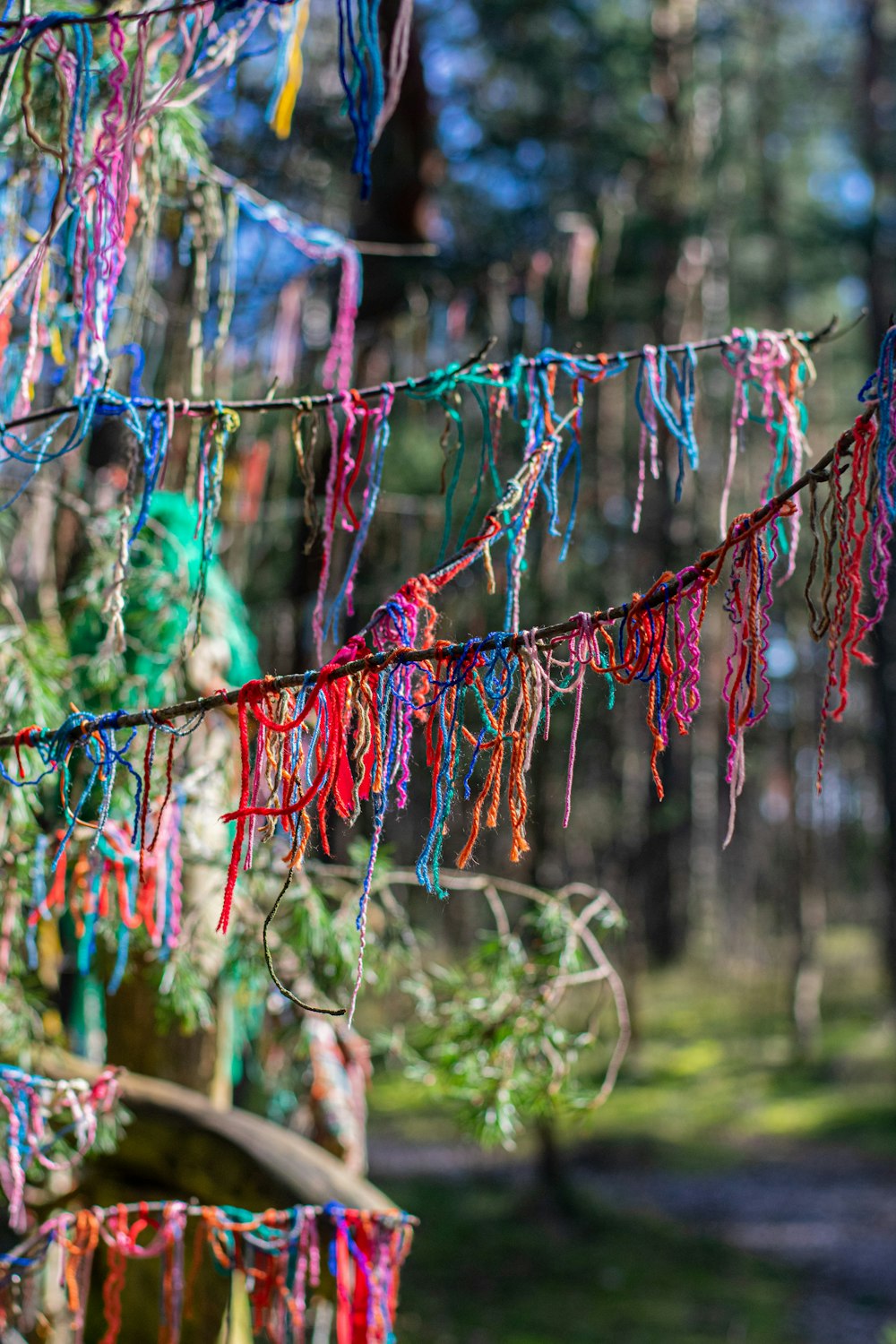 red blue and green rope on green grass during daytime